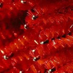 🎁HOLIDAY GIFT CARD BUNDLE🎁